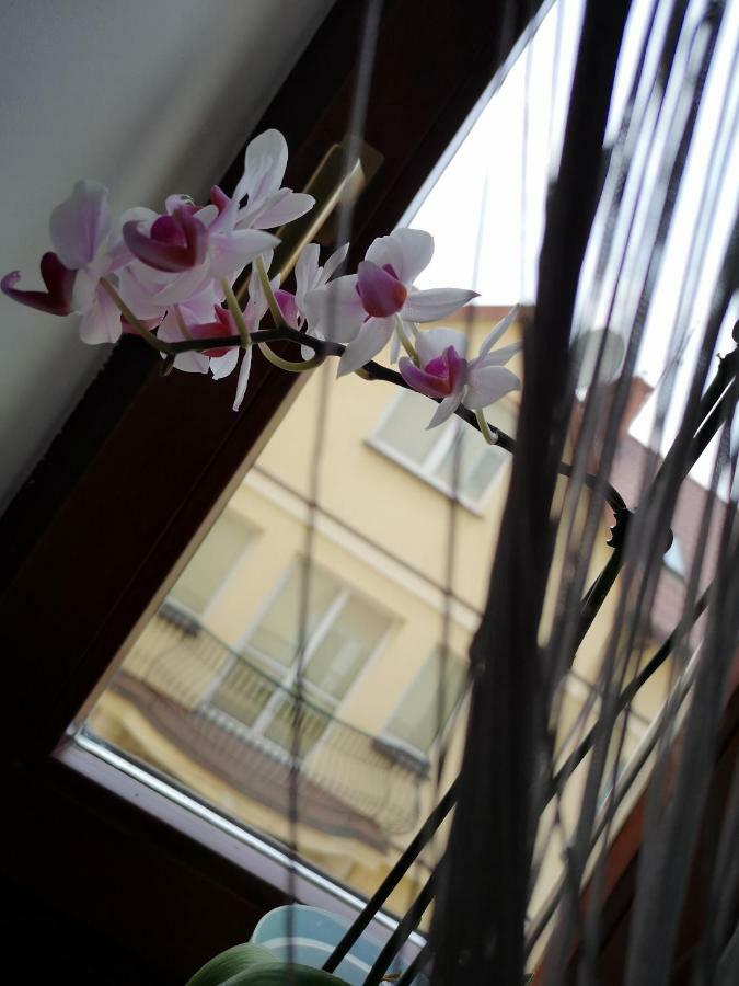 Danhostel وارسو المظهر الخارجي الصورة